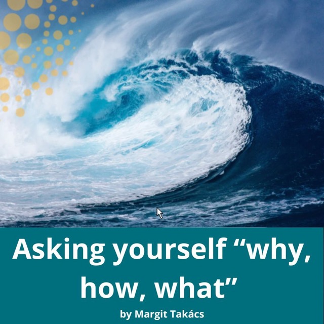 Riding the Wave of Change: The Founder's Journey from Start-Up to Stability
